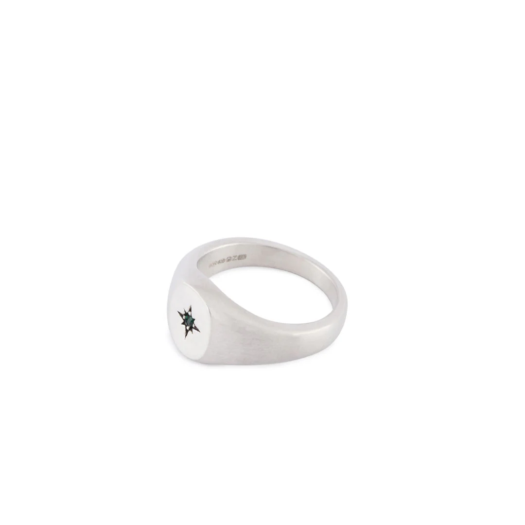 Silver Envy Signet Ring - Image 4